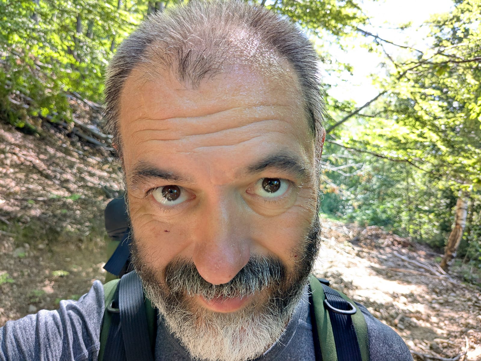 Hóvihar és magyarellenesség a déli hegyekben