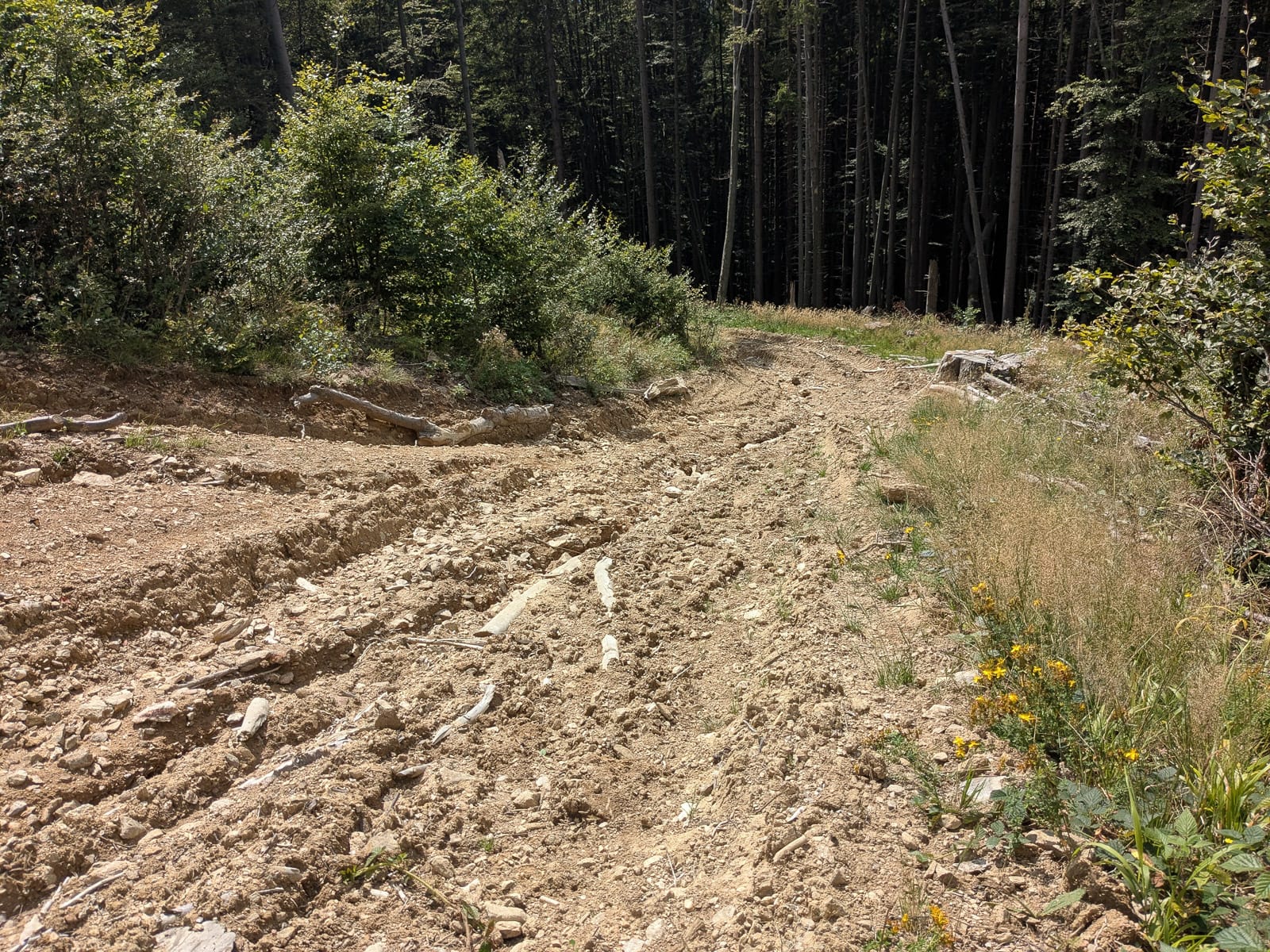 Hóvihar és magyarellenesség a déli hegyekben