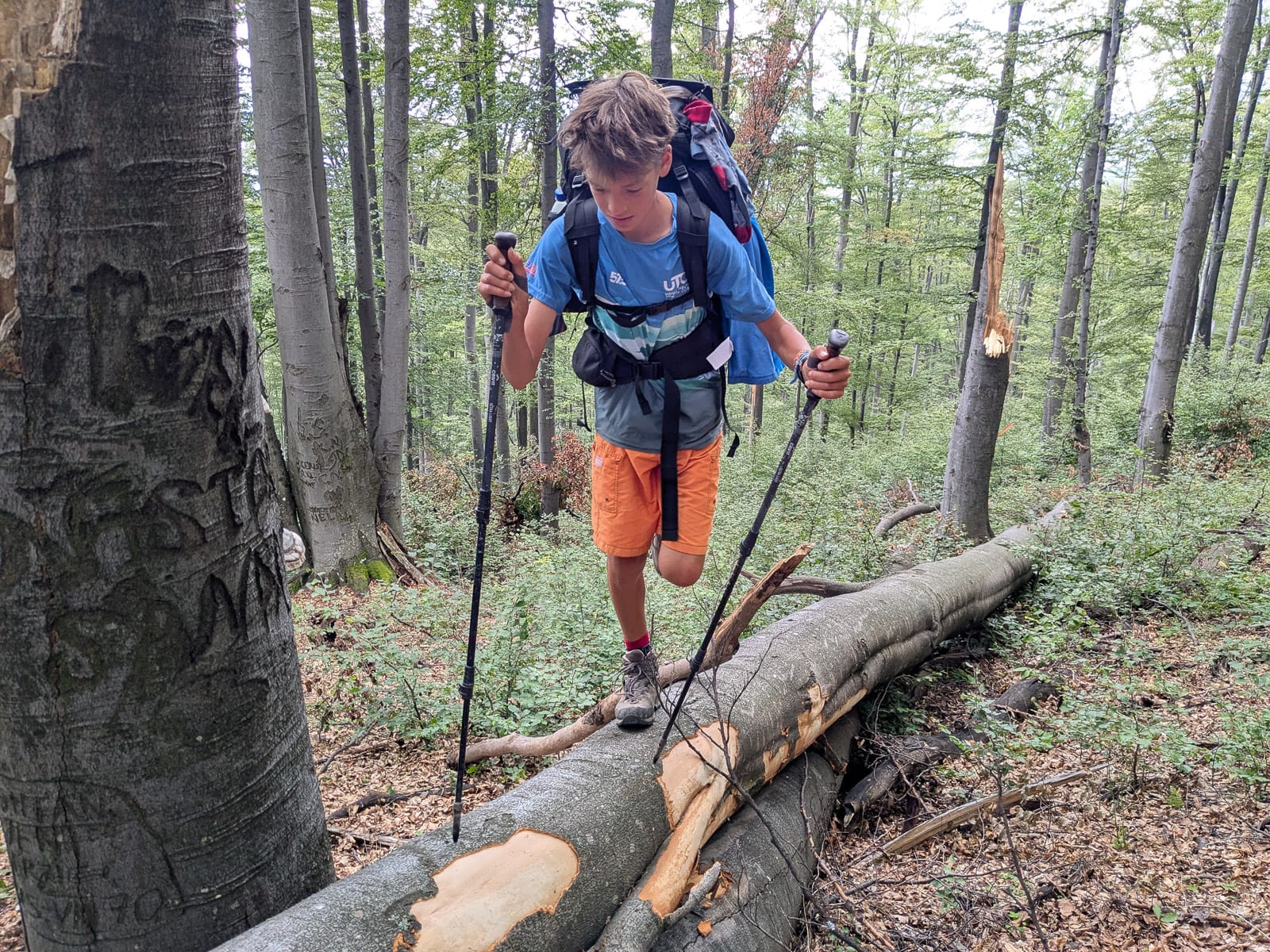 Hóvihar és magyarellenesség a déli hegyekben