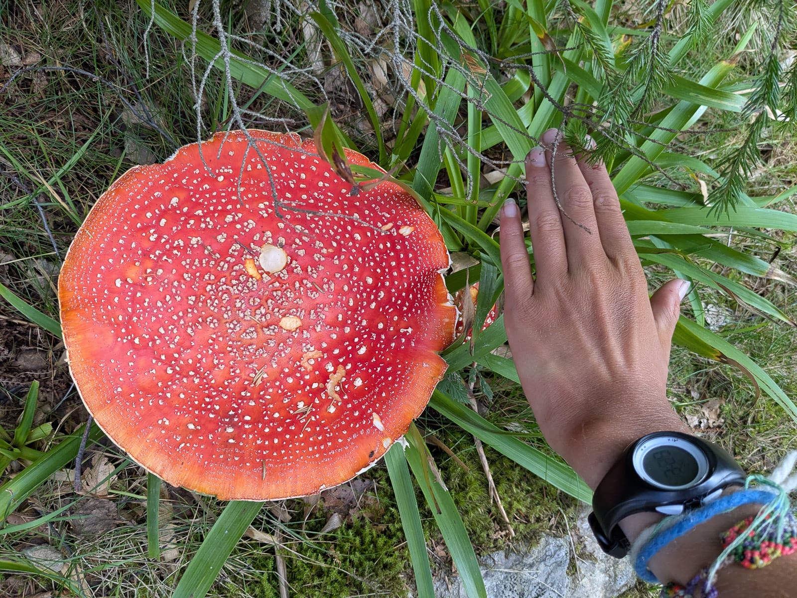 Hóvihar és magyarellenesség a déli hegyekben