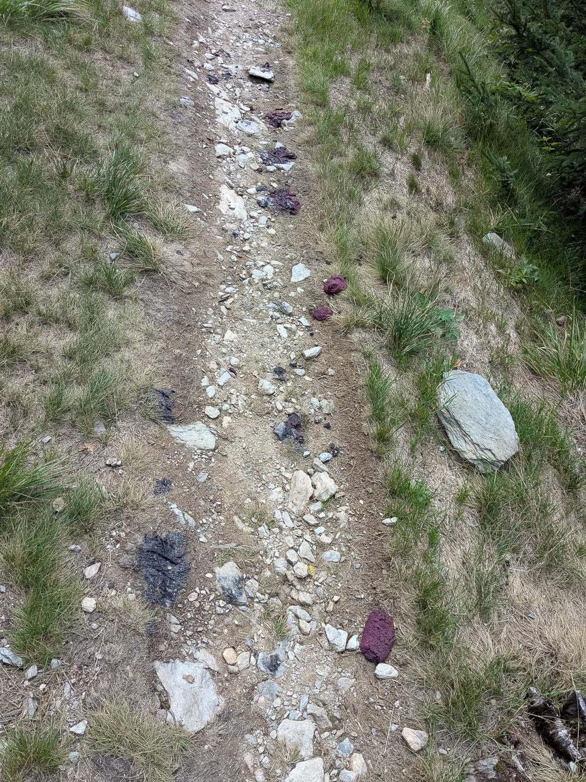 Hóvihar és magyarellenesség a déli hegyekben