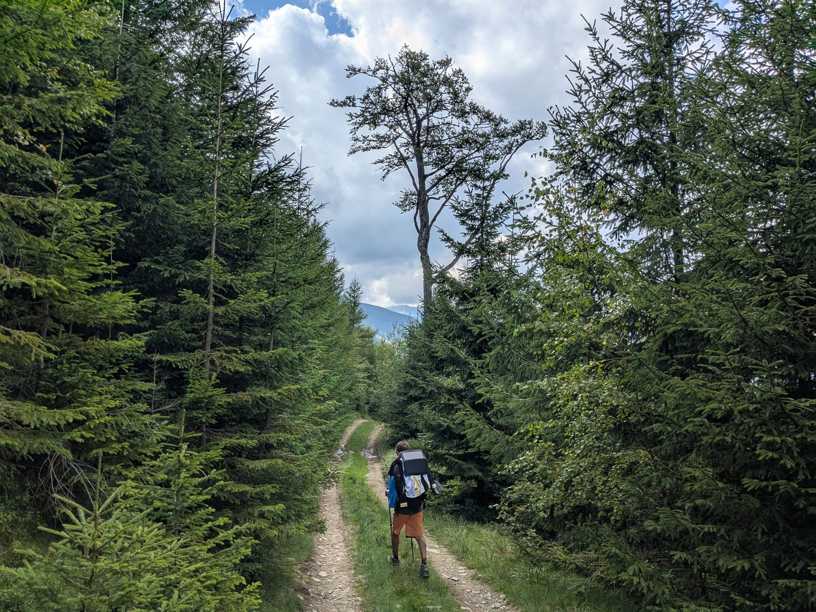 Hóvihar és magyarellenesség a déli hegyekben