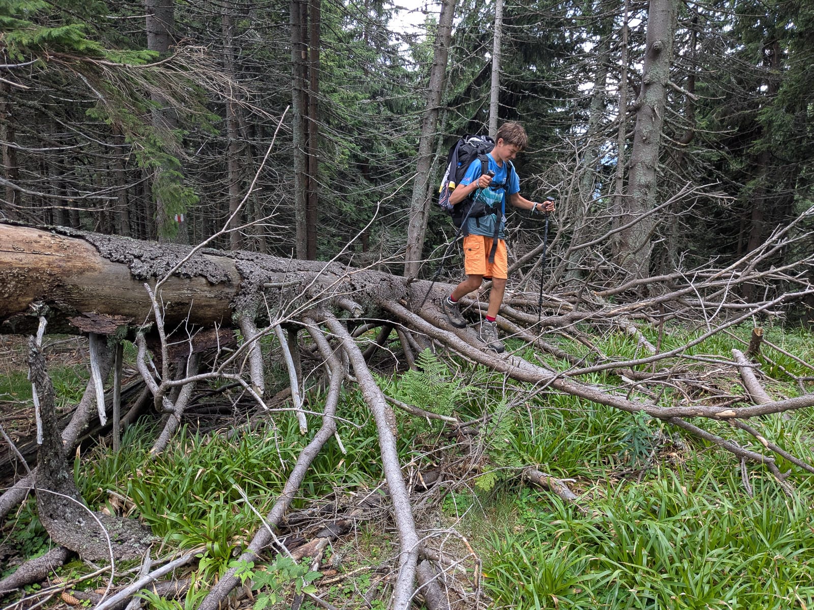 Hóvihar és magyarellenesség a déli hegyekben