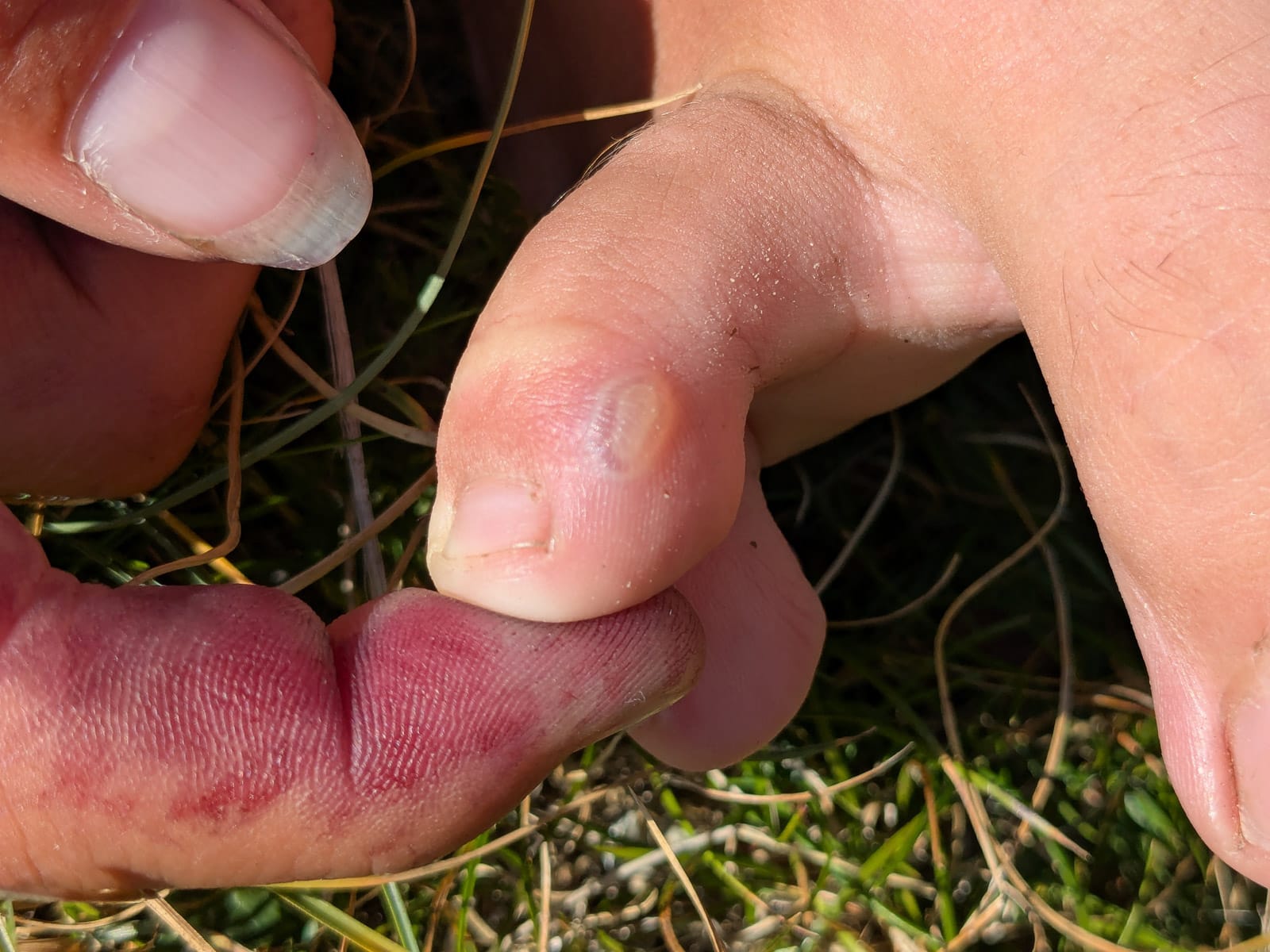 Hóvihar és magyarellenesség a déli hegyekben