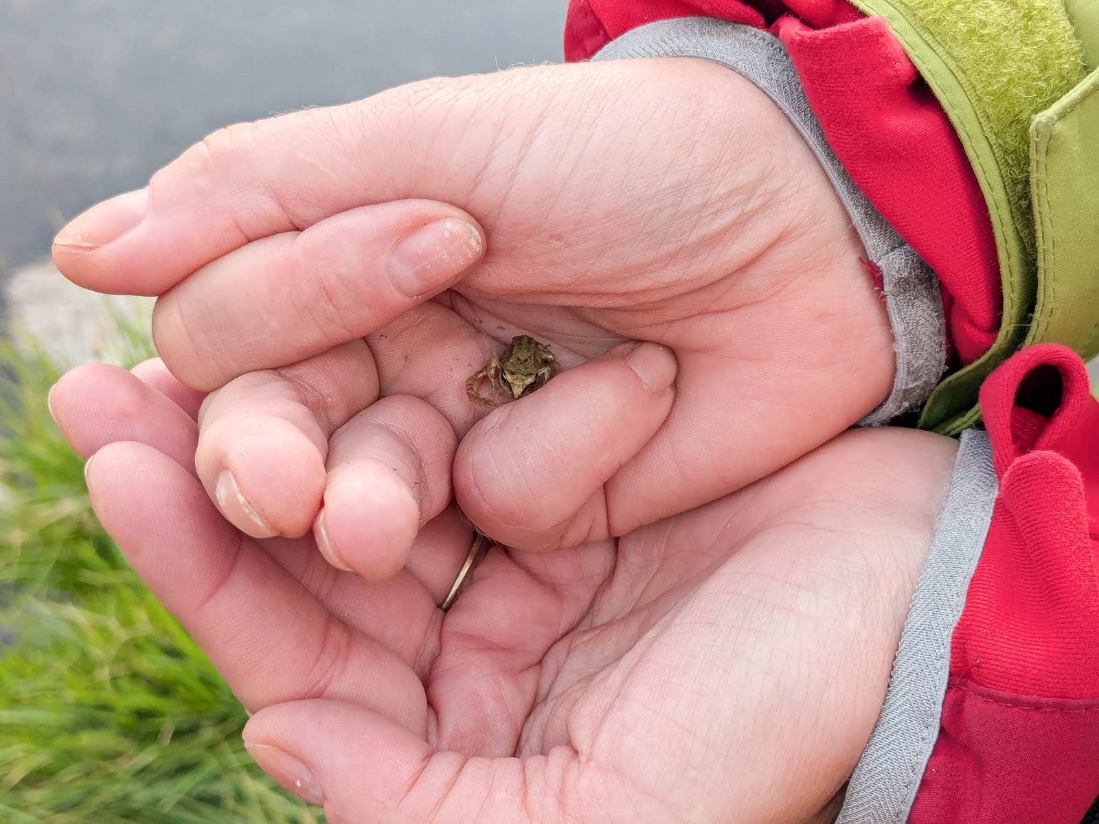 Hóvihar és magyarellenesség a déli hegyekben