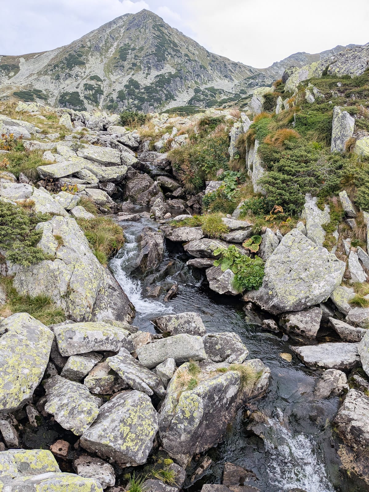 Hóvihar és magyarellenesség a déli hegyekben