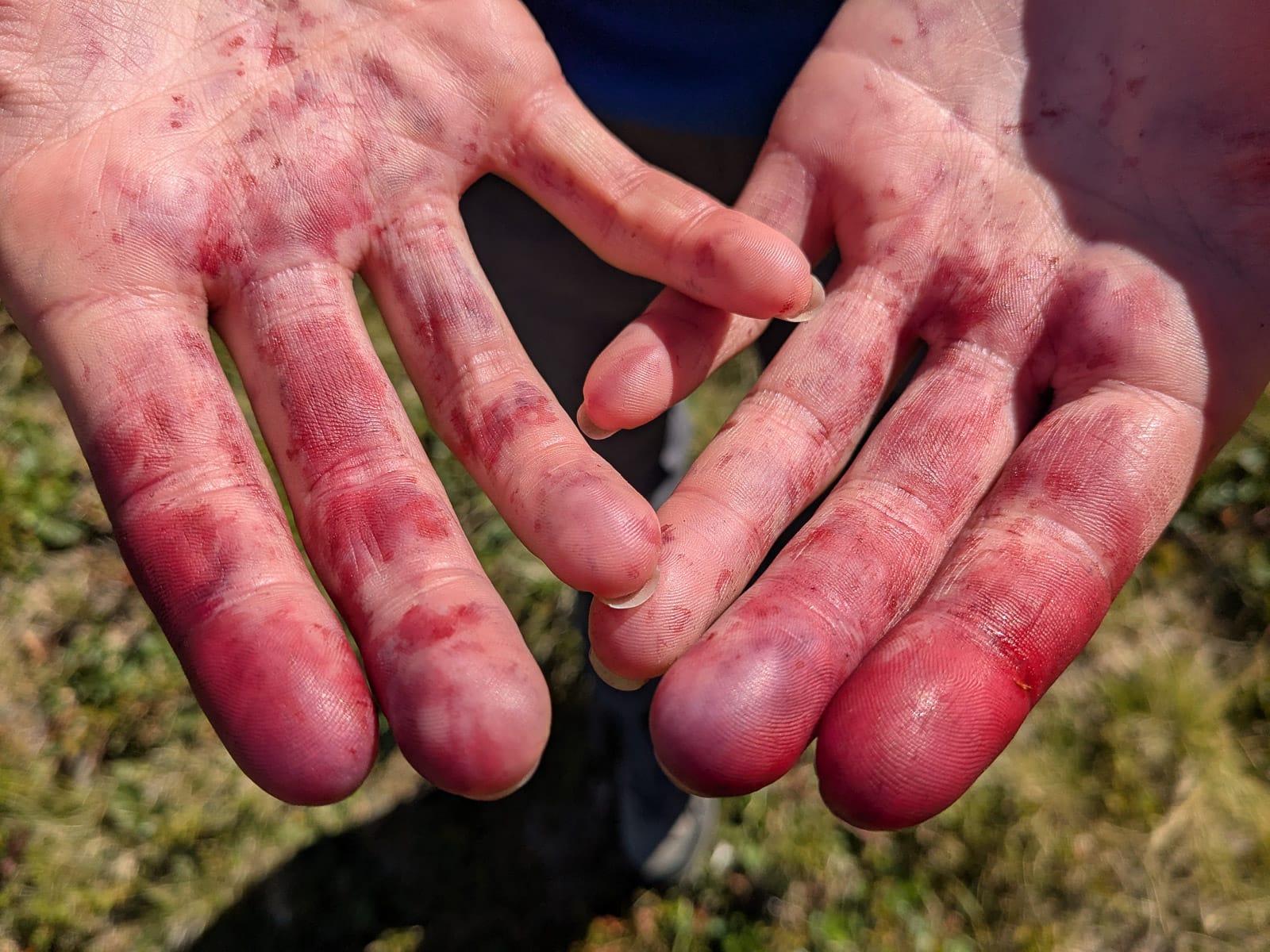 Hóvihar és magyarellenesség a déli hegyekben