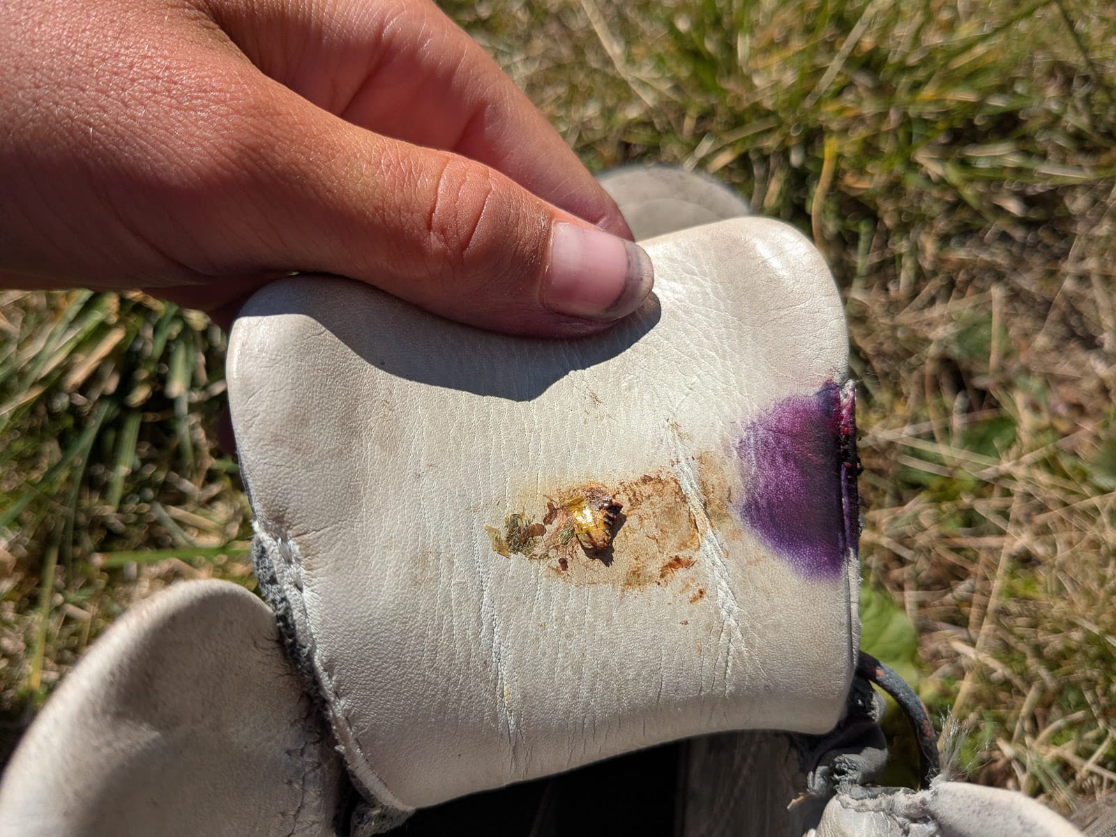 Hóvihar és magyarellenesség a déli hegyekben