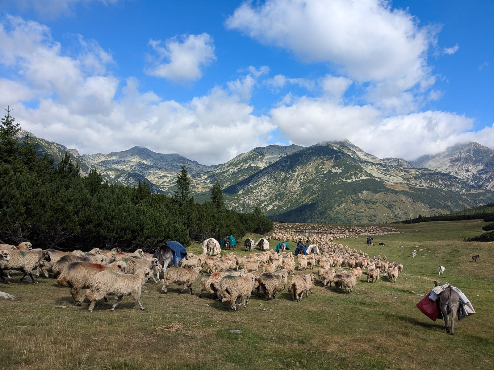 Hóvihar és magyarellenesség a déli hegyekben