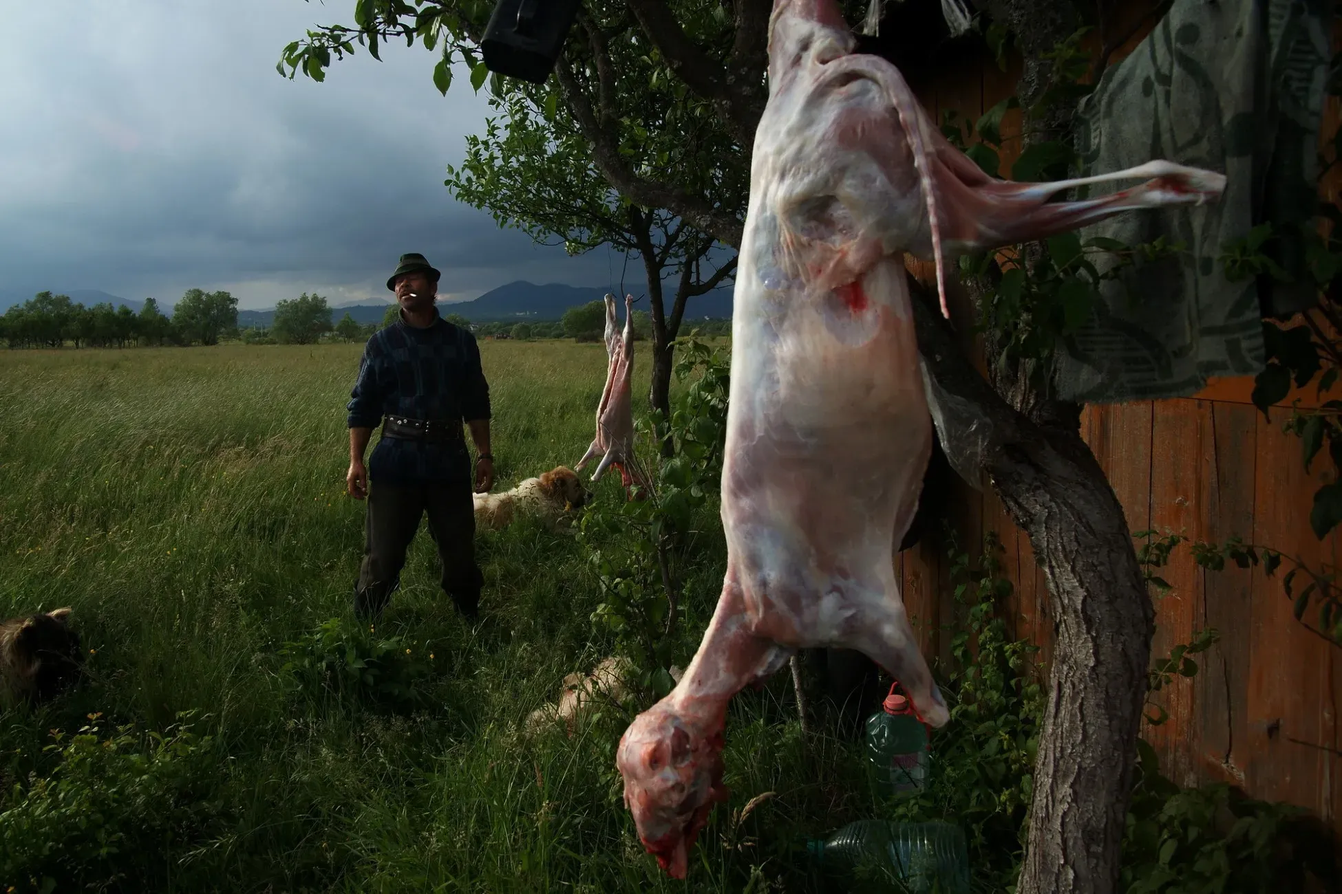 Így lett az avasi hagyományból giccs és sztátuszszimbólum