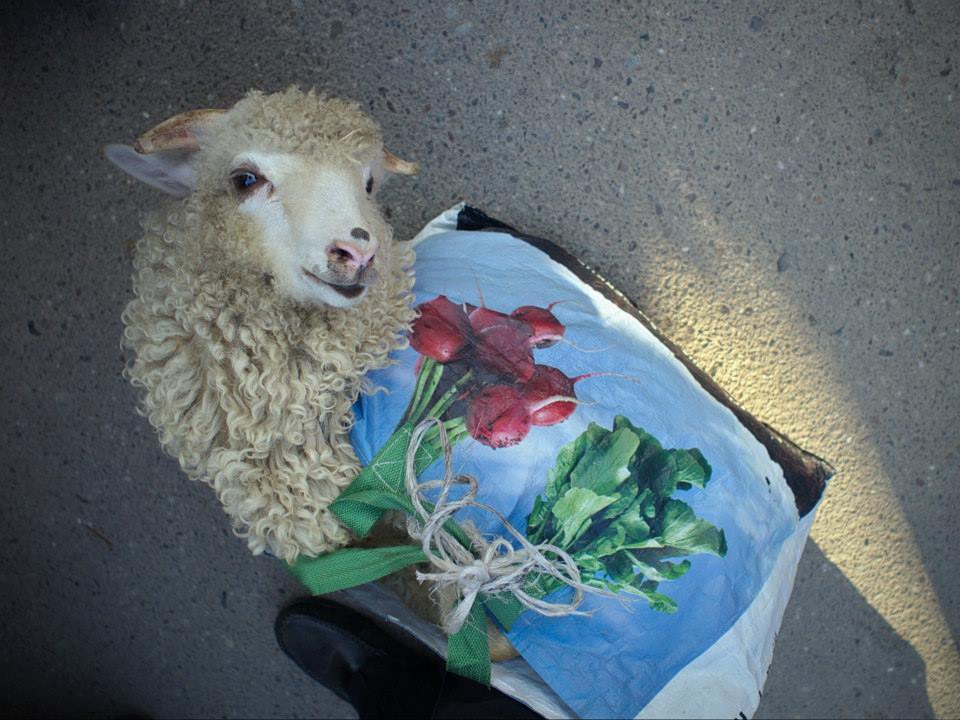 Így lett az avasi hagyományból giccs és sztátuszszimbólum