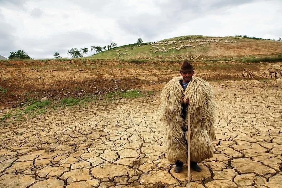Így lett az avasi hagyományból giccs és sztátuszszimbólum