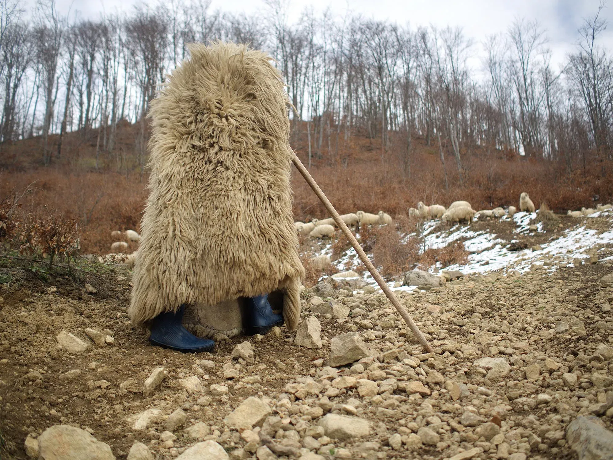 Így lett az avasi hagyományból giccs és sztátuszszimbólum
