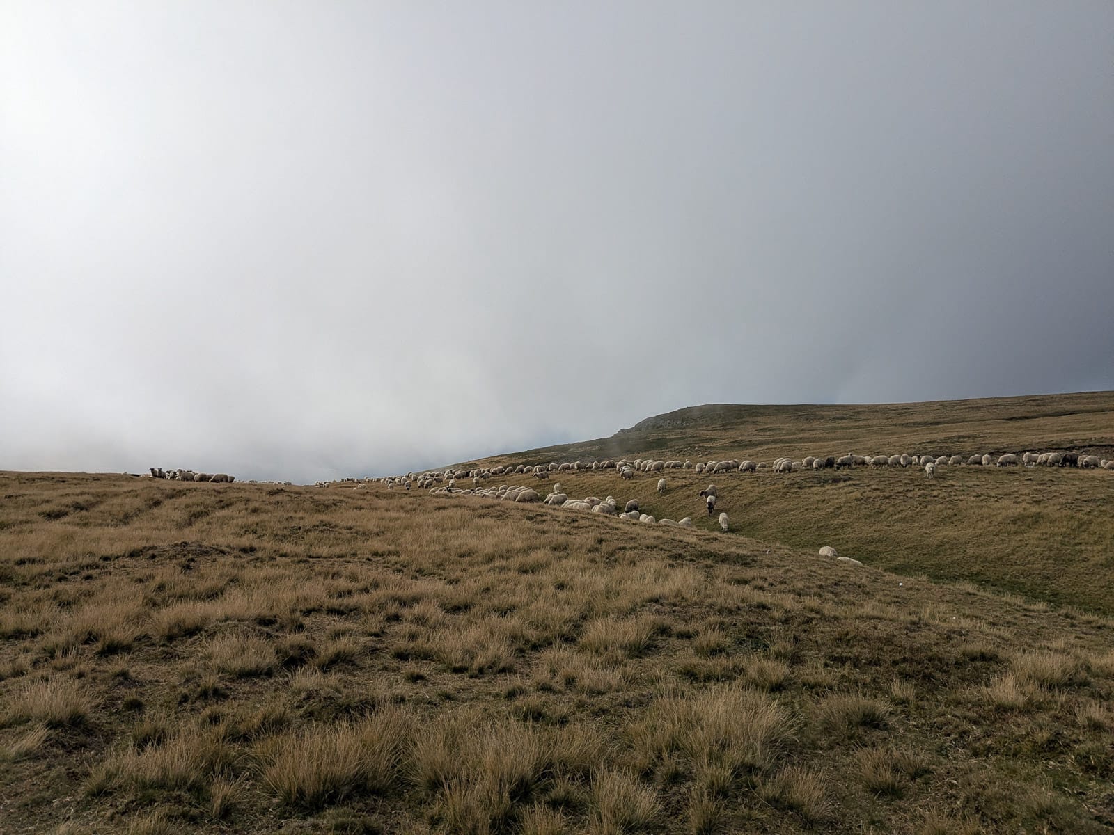 Hóvihar és magyarellenesség a déli hegyekben