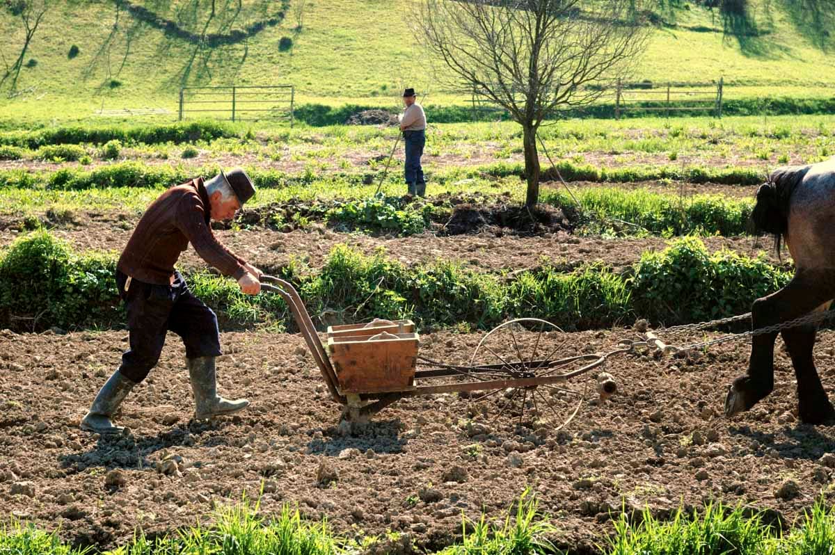 Vasile Dorolți: Uite-mă, cum se duce tradiția
