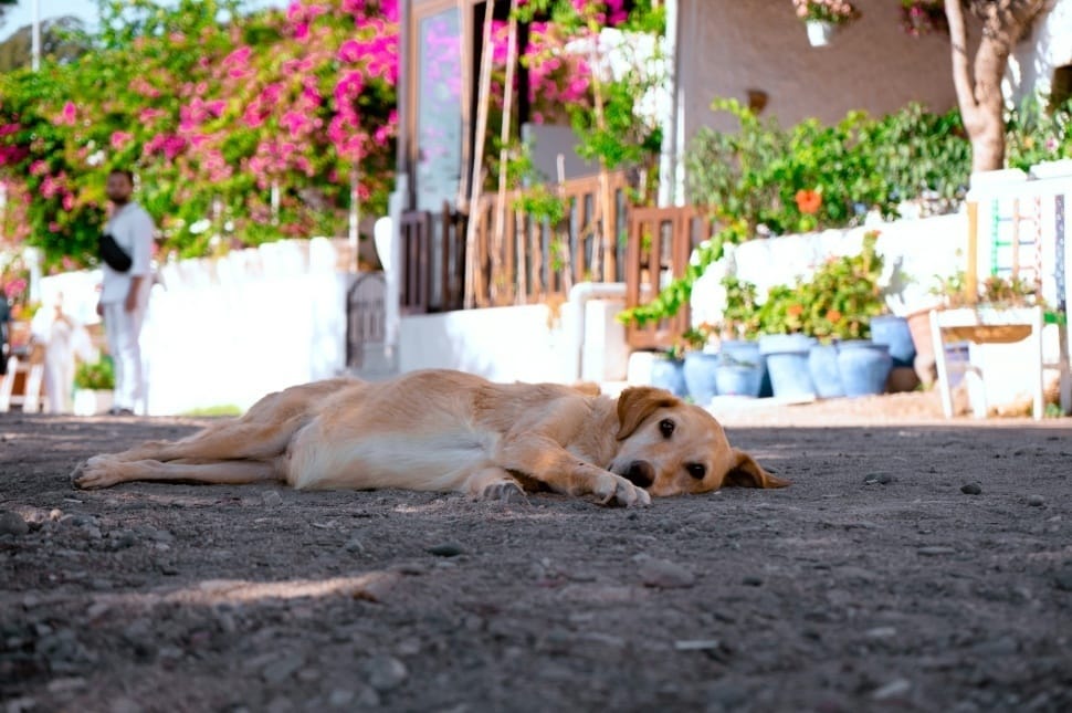 Marad a magas hőmérséklet, de viharra is figyelmeztetnek
