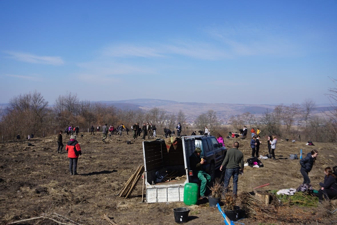 Kicsi lyukba kicsi csemete, ettől sikeres a székely gyermeke!