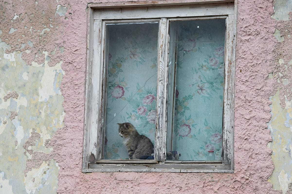Hargita megye: kétezer alá esett az otthonülők száma