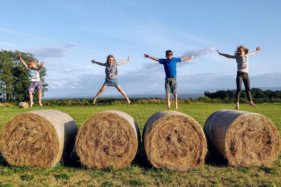 Átugorhatod a képességvizsgát, ha egy tantárgyból a legjobb vagy