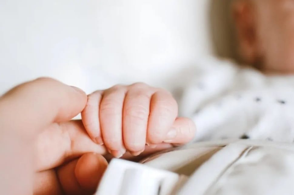 Hamarosan igényelhető a támogatás mesterséges megtermékenyítésre