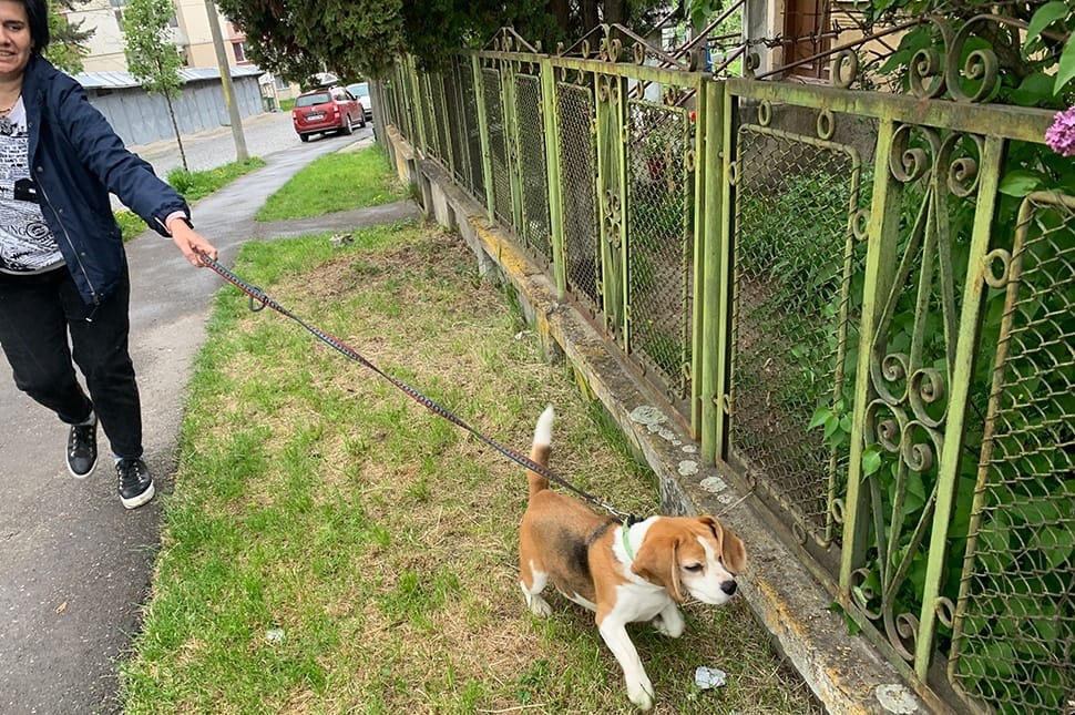 Te mit iszol? És a kutyád?