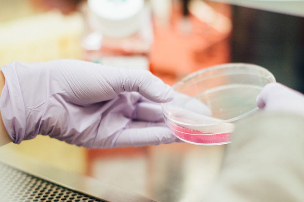 Majdnem 2000 fertőzött van az országban