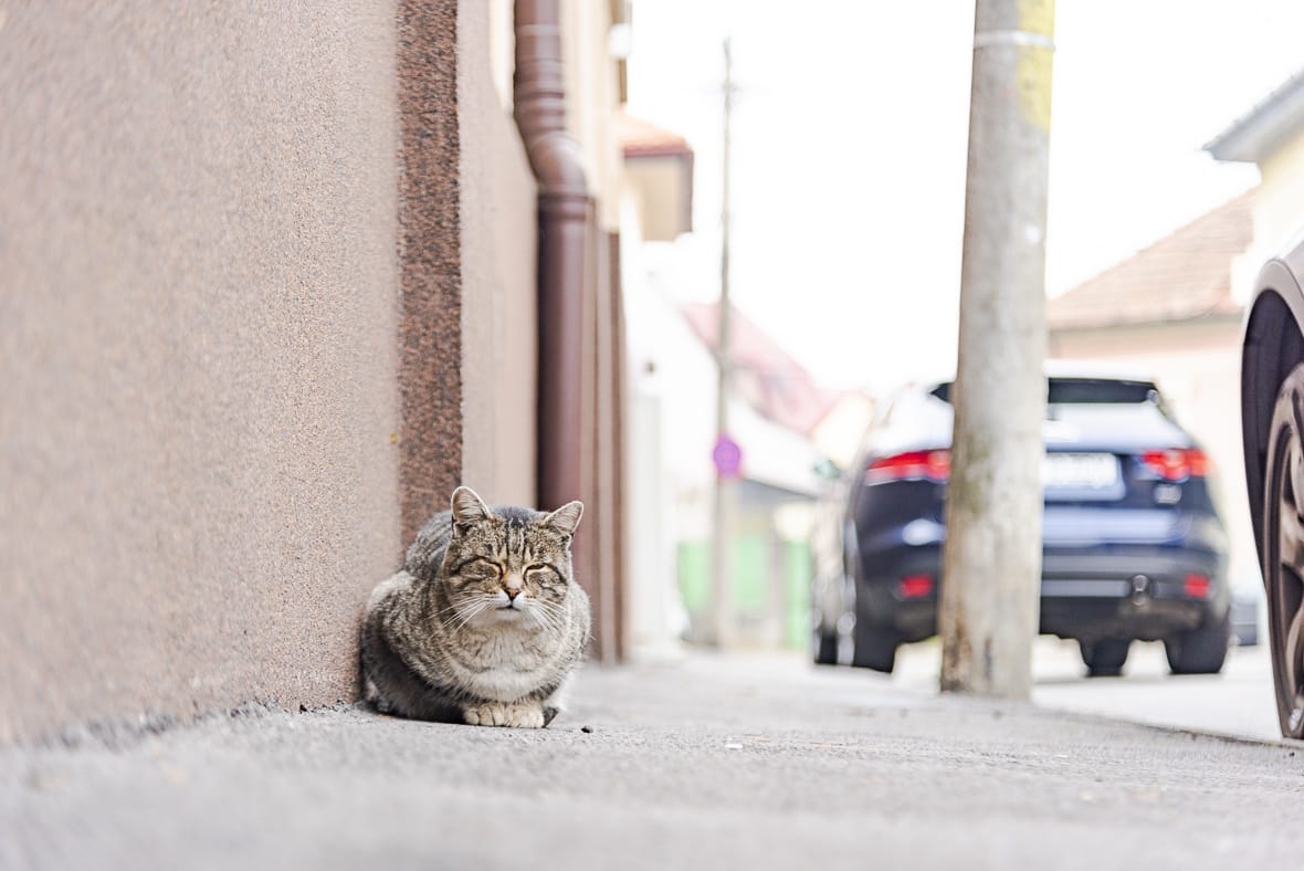 Hideg estéink lesznek a hét elején