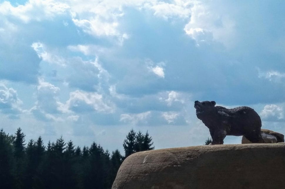 Medvék. Medvék, mindenhol!