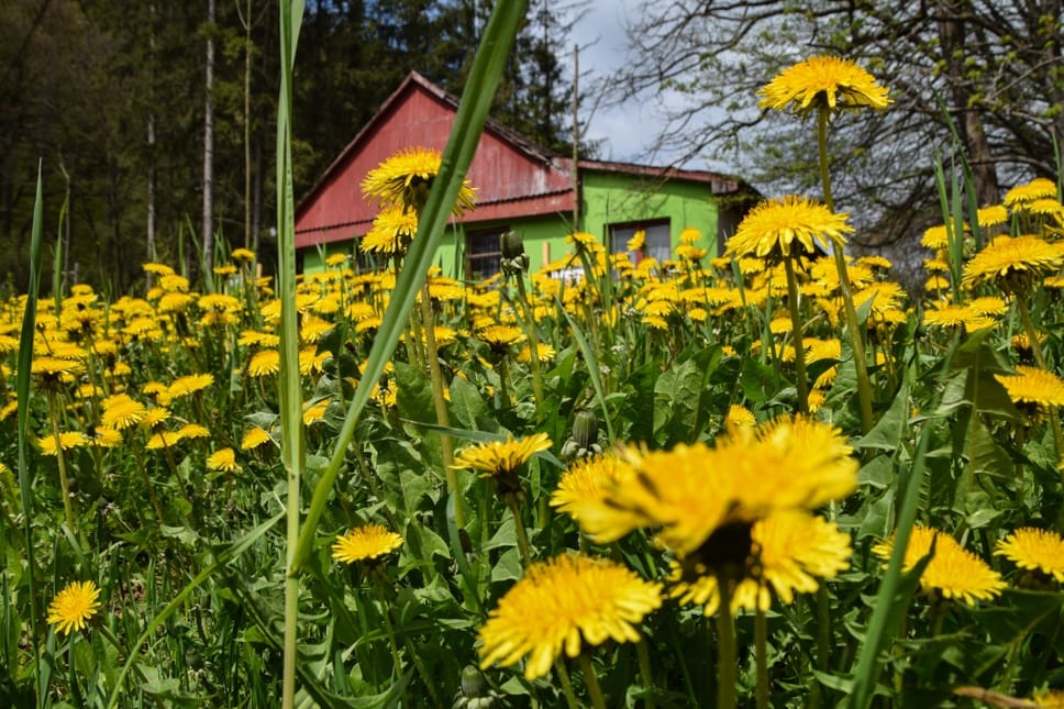 Már nem vörös Udvarhely