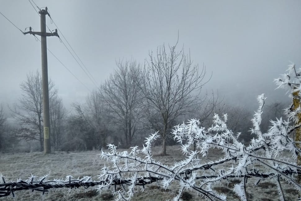 Napot nem sokat, havat viszont láthatunk