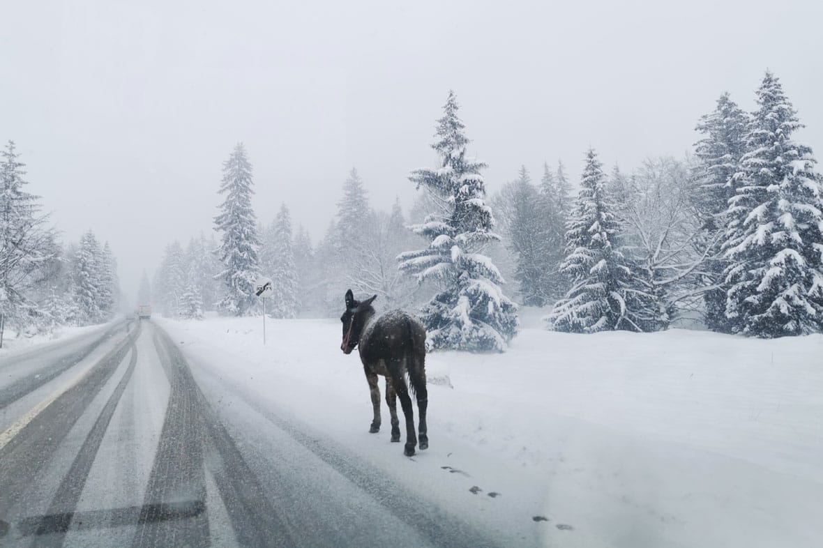 Csúszósak, de járhatók az utak a megyében