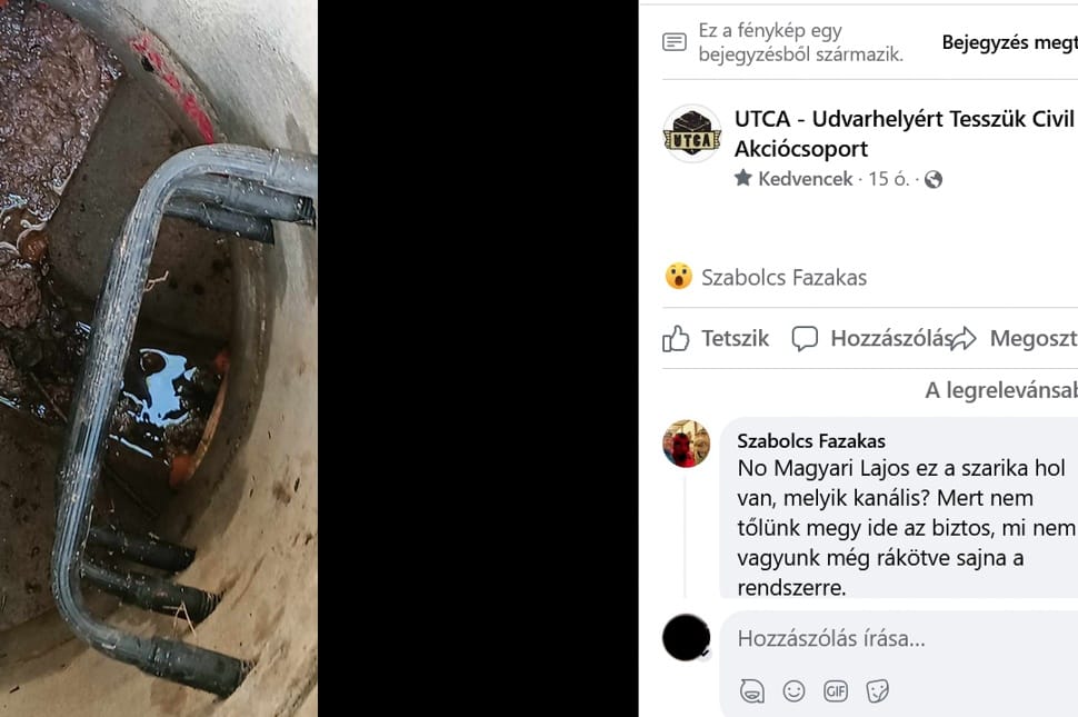 Megint a szejkei kakiban matat a DNA