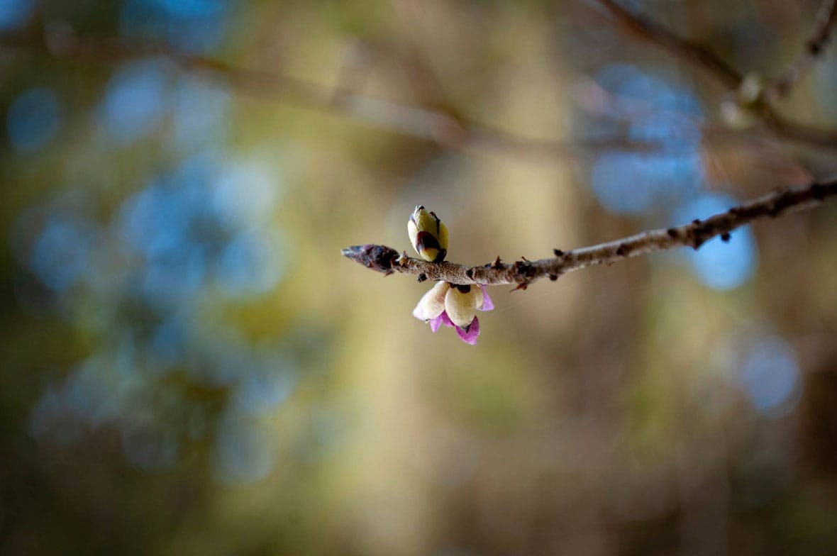 Ilyen idő várható a következő hetekben