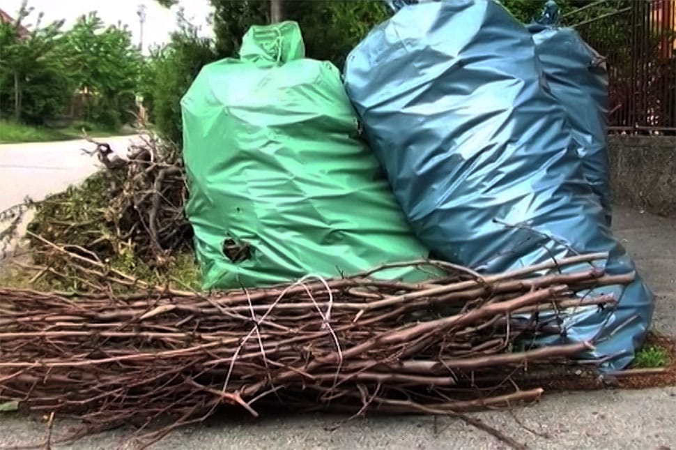 Kezdődik az őszi lombtalanítás