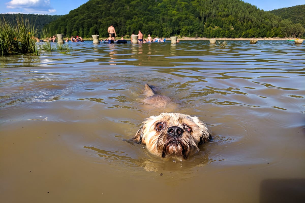 Miért ragadunk bele a marginális tehetetlenség pozíciójába?