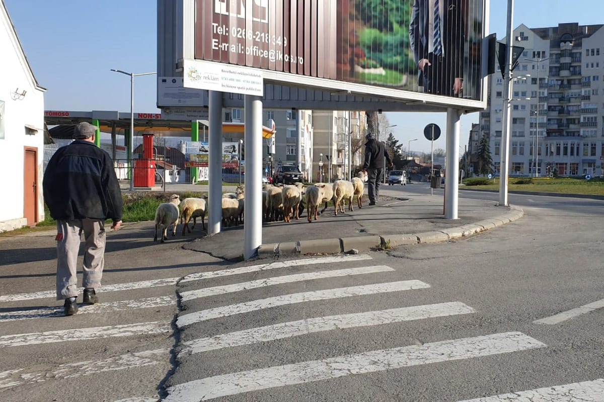 Lassíts be húsvétra, de tudd, hol a fogorvos!