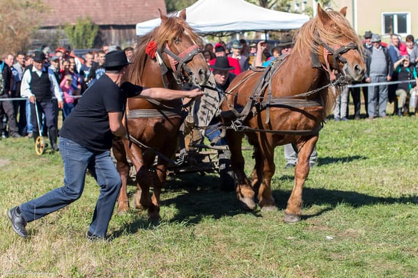 Lovas falunap lesz Etéden