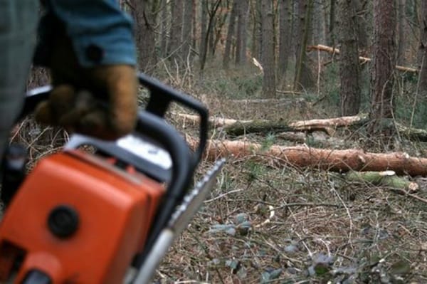 Fát és edényt loptak Etéd községben