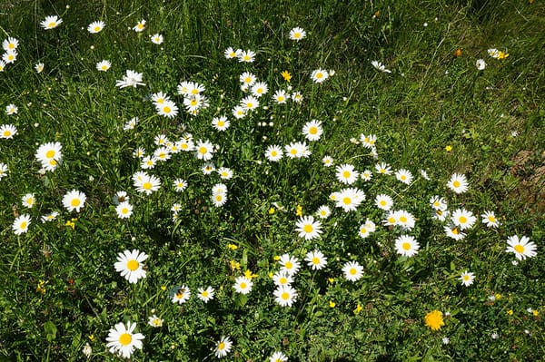 Ilyen idő lesz a következő időszakban