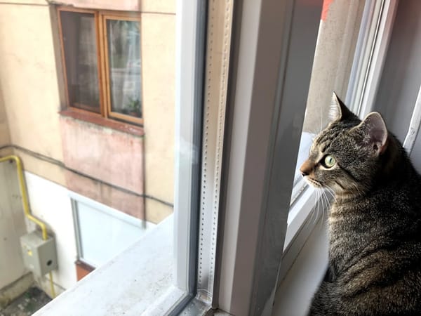 Május 16-tól szabadulunk a szobafogságtól