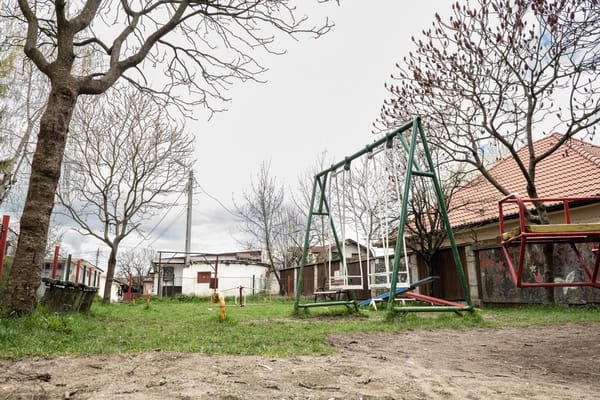Udvarhelyi játszókörkép: csak a macskák örülnek