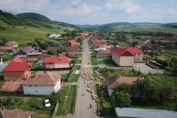 Minden sofőr imádja