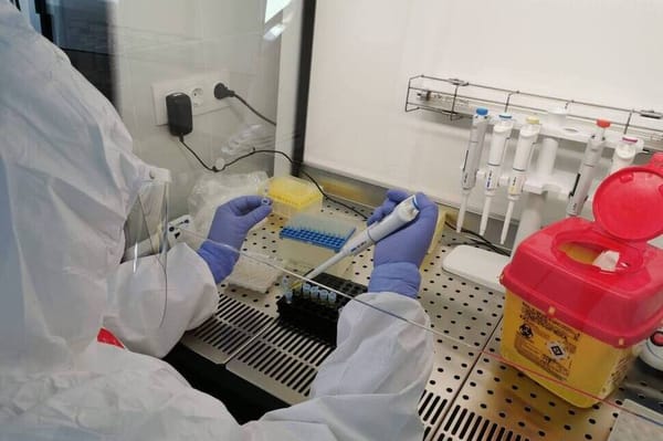 114 halott az országban, egy a megyében