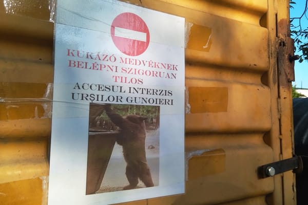 Ki kellett írni, annyira elfajultak a dolgok