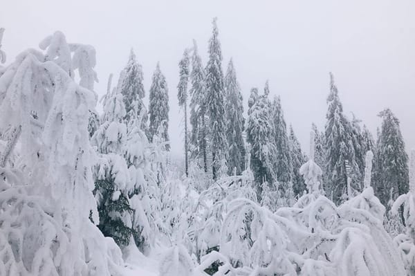Veszélyes a Madarasi-Hargitára vezető út