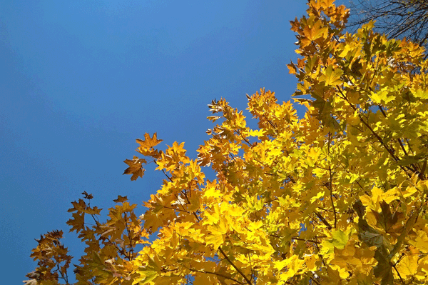 Viszonylag meleg hetünk lesz