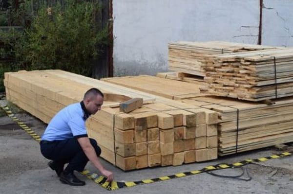 Nem tudta igazolni a fa eredetét