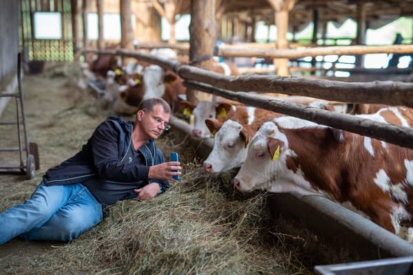 Mindenki tud hülye lenni néha
