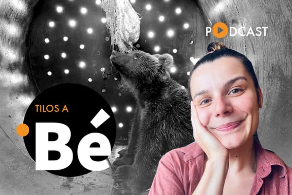 Mostantól minden medvét kilövünk