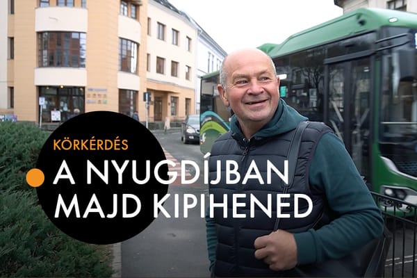 A kutyák megkapják a jót, de mi lesz a többiekkel?